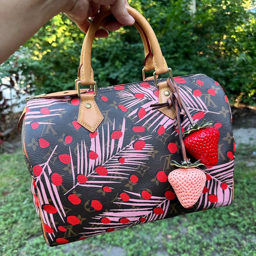 Louis Vuitton Speedy 30 Jungle Dots